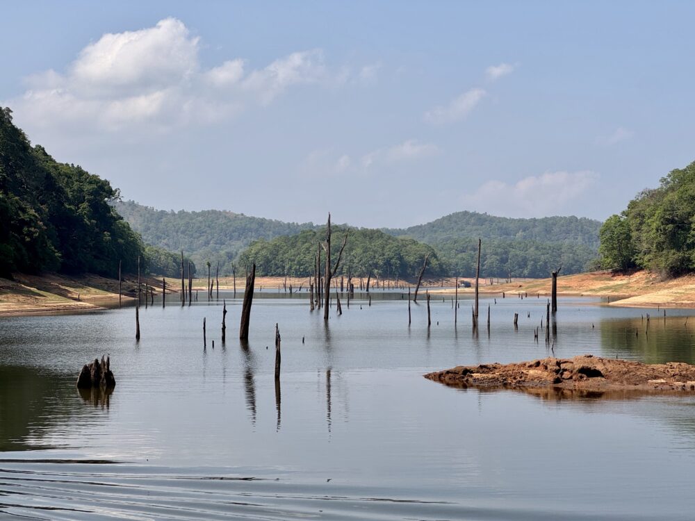 Calm river with numerous vertical tree stumps protruding from the water and red banks with forested hills in the distance under a clear blue sky.