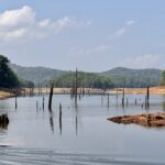 Calm river with numerous vertical tree stumps protruding from the water and red banks with forested hills in the distance under a clear blue sky.