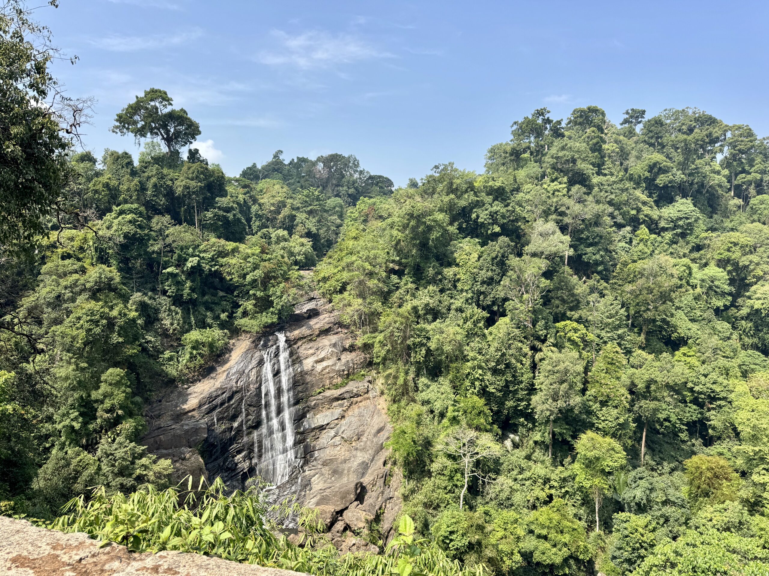 Dense tropical forest with a tall waterfall cascading down gray rocks under a blue sky.
