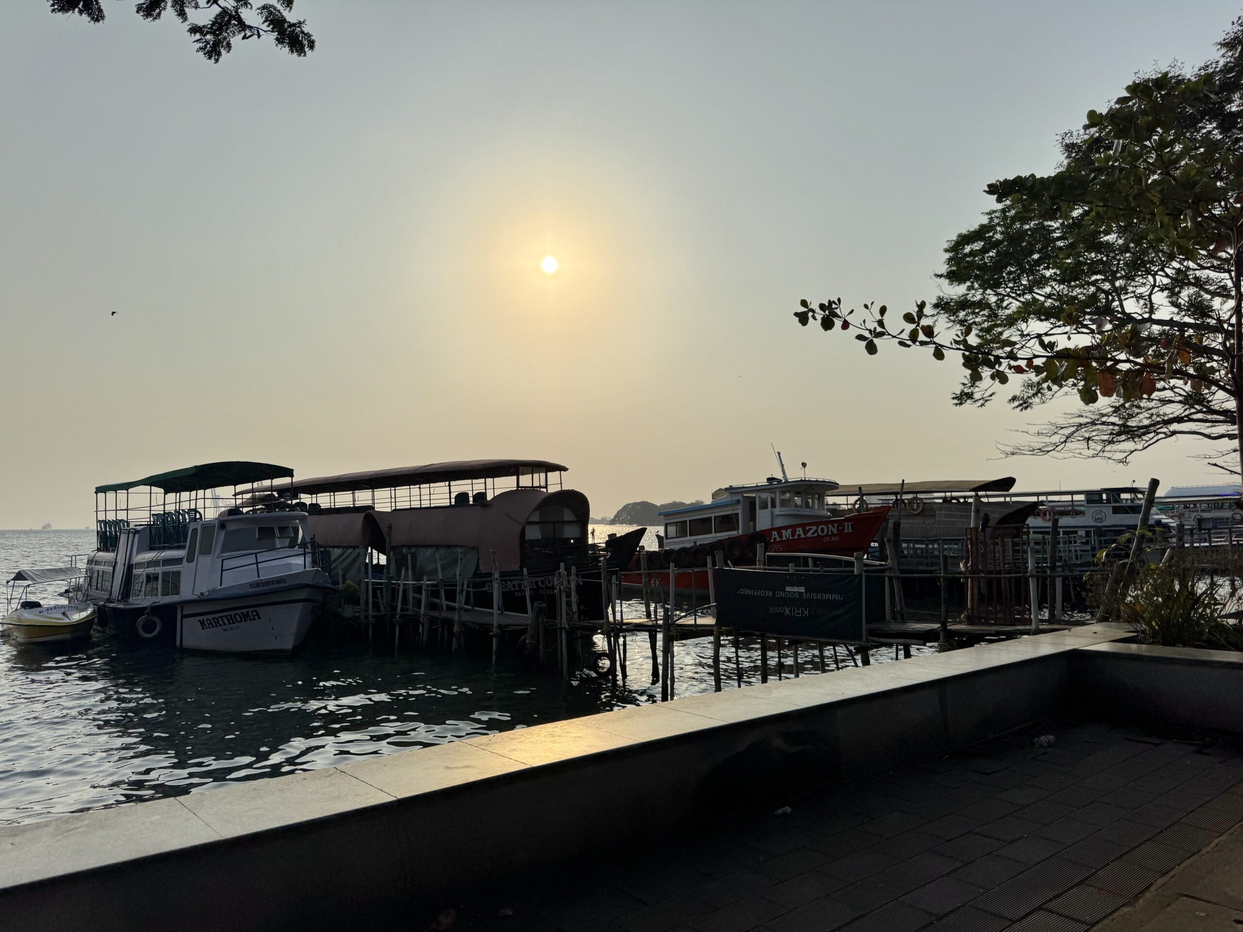 Boats moored at a marina during sunset, with calm water and tree branches on the right.