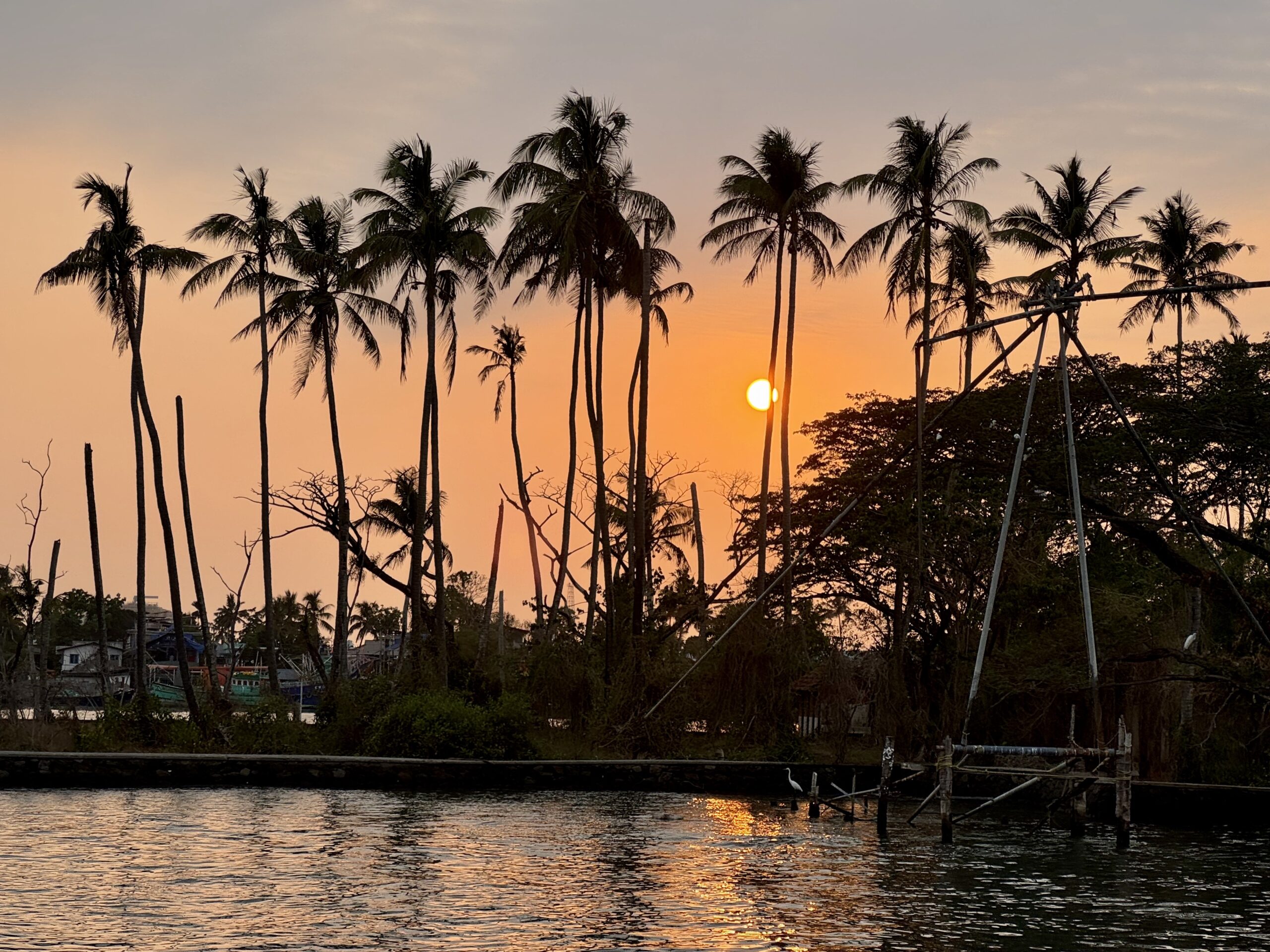 Sunset over a row of tall palm trees beside a calm river, orange reflection on the water, with scaffolding visible on the right side.