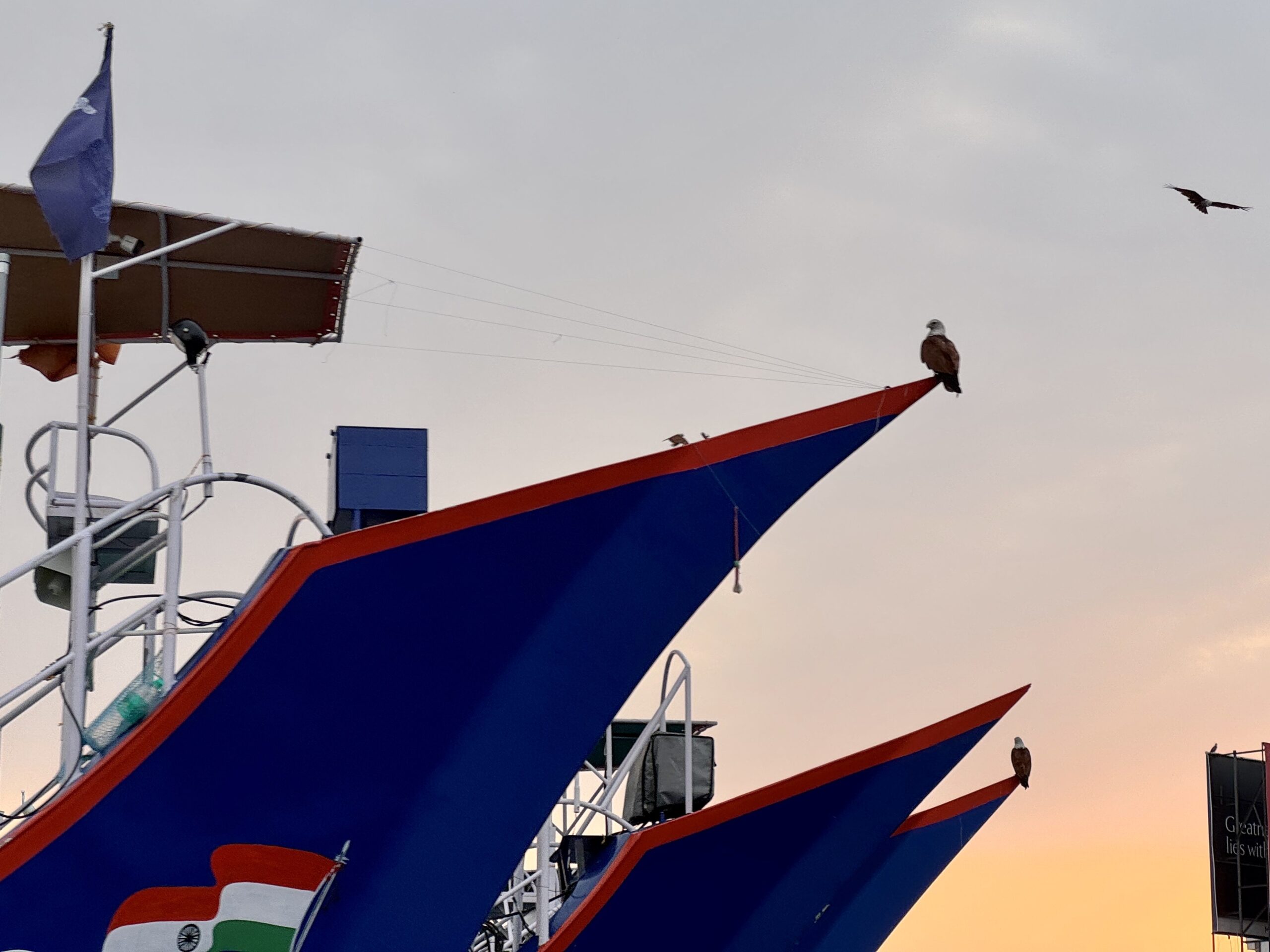 Blue-hulled vessel with red trim and a flag, a bird perched on the bow while another flies nearby at sunset.