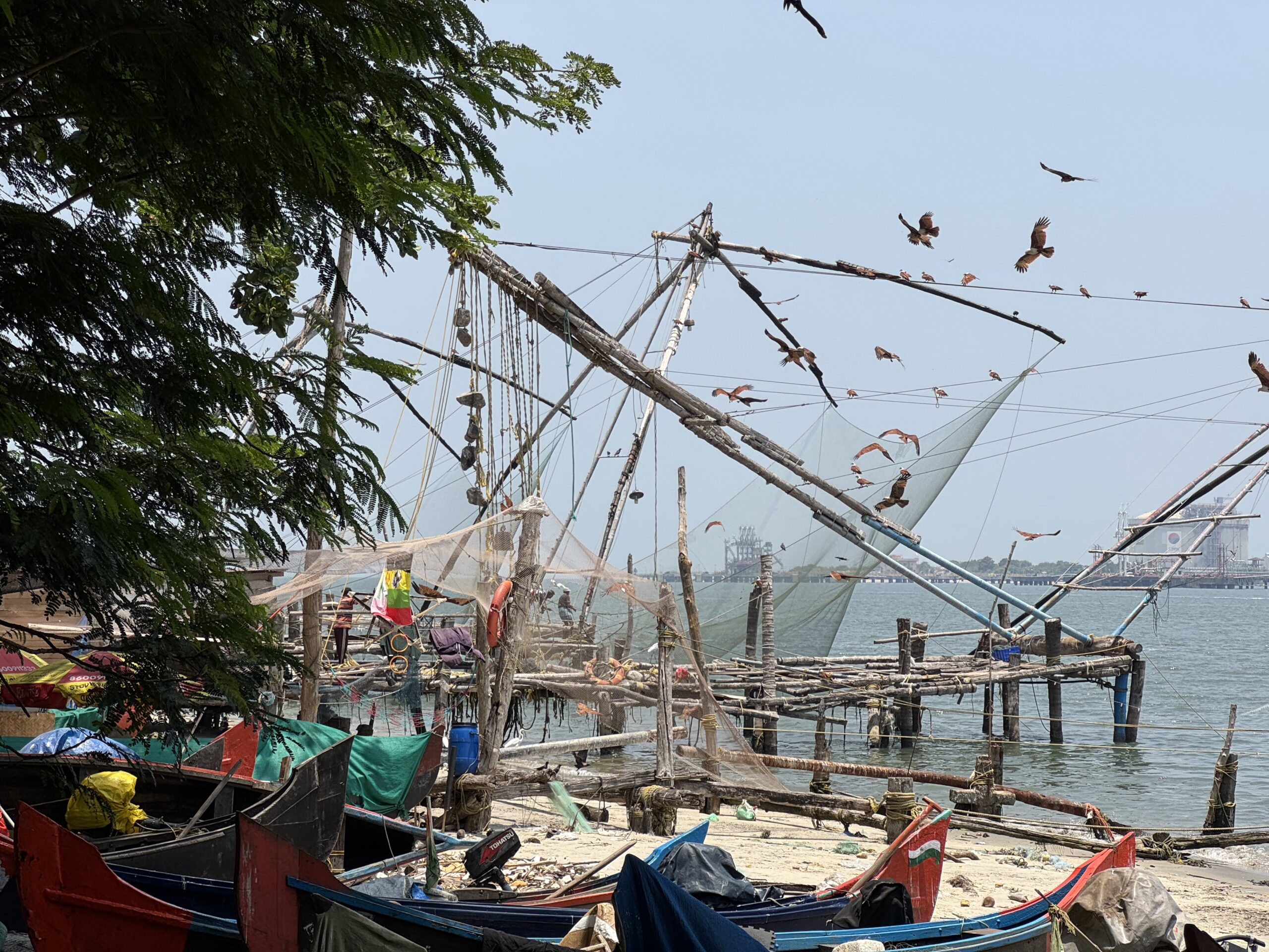 View of a cluttered fishing dock with colorful wooden boats, nets, and poles along the shore under a clear blue sky. Birds fly overhead over the harbor.